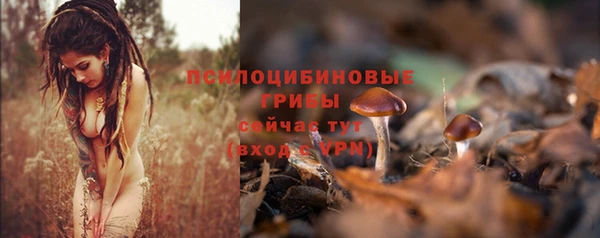 дмт Алзамай