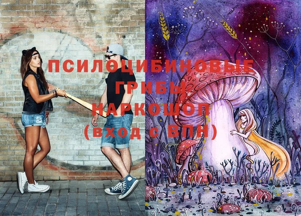 дмт Алзамай